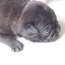 หนุ่มชาวบ้าน