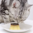 สมาชิกหมายเลข 1030271