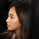 หมอหมาแมว