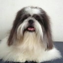 วิลลี่ครับผม