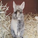 สมาชิกหมายเลข 2665229