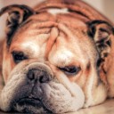 สมาชิกหมายเลข 3542119