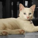 เลมอน~ไอซ์