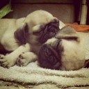 ยังละอ่อนอยู่