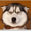 สมาชิกหมายเลข 2662130