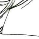 สมาชิกหมายเลข 3079047