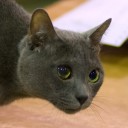 สมาชิกหมายเลข 3079126