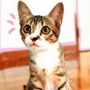 ส้มซ่าน้อยตัวใหญ่