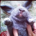 แม่ฉัตร