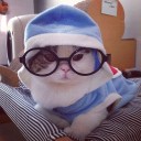 สมาชิกหมายเลข 1189455