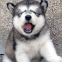 สมาชิกหมายเลข 1559809