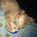 สมาชิกหมายเลข 1361241