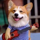 สมาชิกหมายเลข 3398741