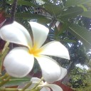 สมาชิกหมายเลข 1433769