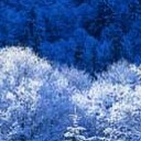 สมาชิกหมายเลข 1870889