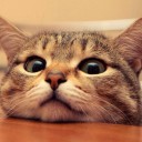 สมาชิกหมายเลข 871653