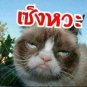 สมาชิกหมายเลข 3543586