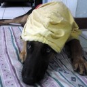 คุณหนูกุมิ