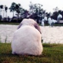 สมาชิกหมายเลข 1829038