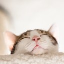 สมาชิกหมายเลข 1979671