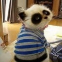 สมาชิกหมายเลข 1858990