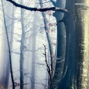 สมาชิกหมายเลข 1444816