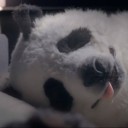 สมาชิกหมายเลข 3544435