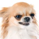 สมาชิกหมายเลข 3544496