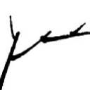 กิ่งไม้และสายลม