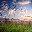 สมาชิกหมายเลข 3545223