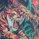 นกสิ้นเกาทันฑ์ซ่อน