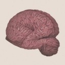 สมาชิกหมายเลข 1871868