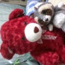 สมาชิกหมายเลข 1688330