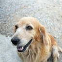 สมาชิกหมายเลข 779661