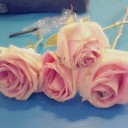 สมาชิกหมายเลข 1872960