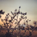 สมาชิกหมายเลข 1986007