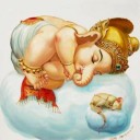 หมูป่าในดินแดนมหัศจรรย์