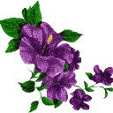 สมาชิกหมายเลข 985472