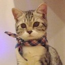 สมาชิกหมายเลข 1873507