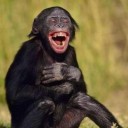 สมาชิกหมายเลข 2277511