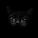 สมาชิกหมายเลข 2669177