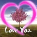 เยอบีร่า เดซี่