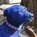 มีเทียนแต่ธูปไม่มี