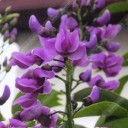 สมาชิกหมายเลข 2607685