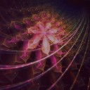 สมาชิกหมายเลข 2025223