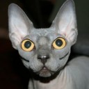 สมาชิกหมายเลข 2825494