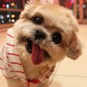 สมาชิกหมายเลข 1002735