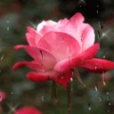 เอ็กซ์ซ่า