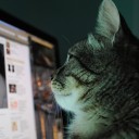 สมาชิกหมายเลข 1616439