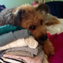 สมาชิกหมายเลข 1039998